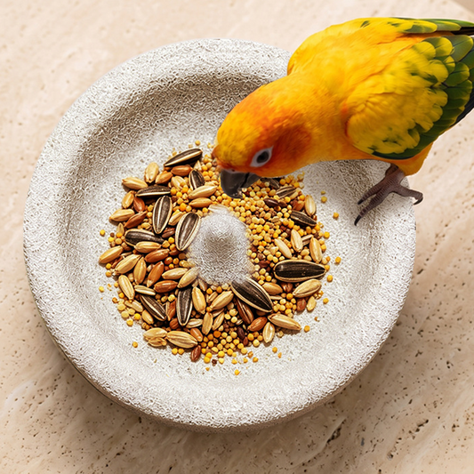 🐦 Compre 2 e leve 3! ✨ Comedouro para pássaros e lixa de bico de pedra vulcânica 2 em 1 – prático e durável 🌋