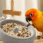🐦 Compre 2 e leve 3! ✨ Comedouro para pássaros e lixa de bico de pedra vulcânica 2 em 1 – prático e durável 🌋